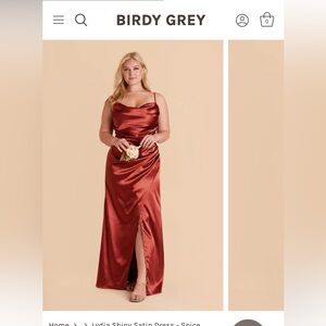 Birdy Grey Shiny Satin Bridesmaid Dress Color Spice